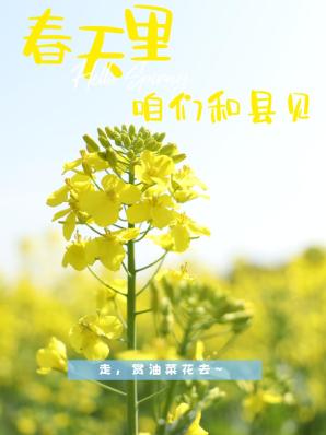 手机游戏屏幕晃动怎么办_手机玩游戏晃手机游戏会动_手机打游戏乱晃怎么回事