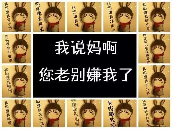 淘宝店铺怎么开_淘宝网页版_淘某宝