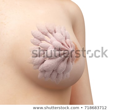 手机一键生成游戏3d模型_3d模型制作游戏_3d模型生成器