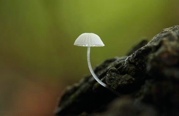 手机游戏奈何-奈何：一款让你又爱又恨的手机游戏，是视觉与智力