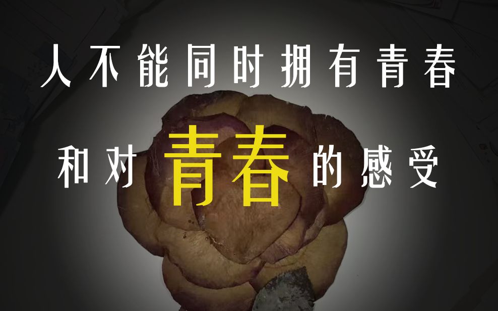 走进安波里欧，感受青春的光芒与梦想的力量
