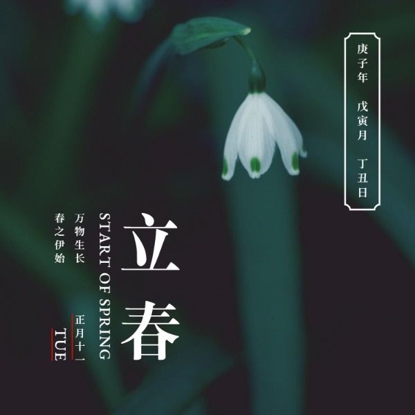 立春几点-立春：不仅仅是节气，更是一种生活的期待与喜悦