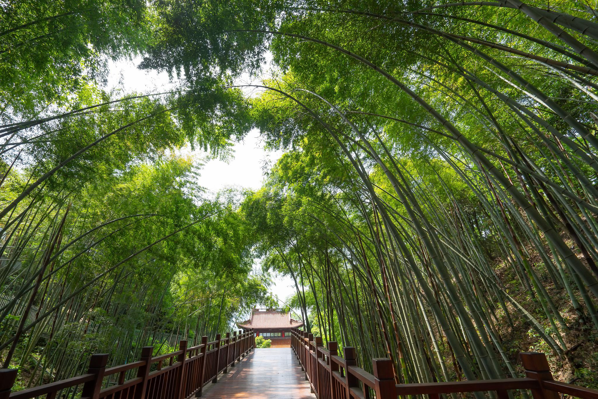 引擎游戏_手机游戏旅游引擎_引擎app下载
