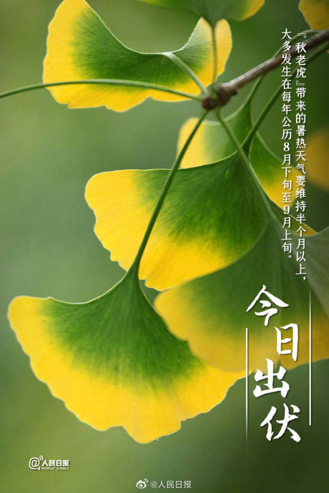 终于出伏了！天气变化带来心情转变，期待新的生活