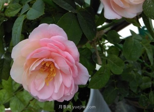手机游戏宽高比修改_手机如何修改游戏比例_手机游戏尺寸怎么修改