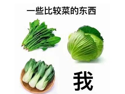 手机小游戏副本_手机副本类游戏_手机副本游戏排行