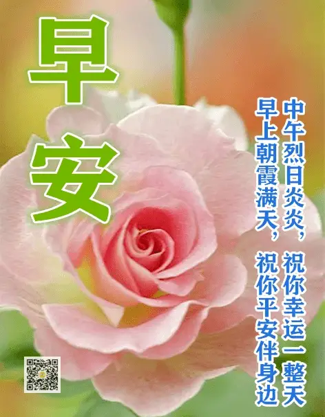 5月3日是什么日子-五月三日，承载特殊情感的日子，回顾与展望