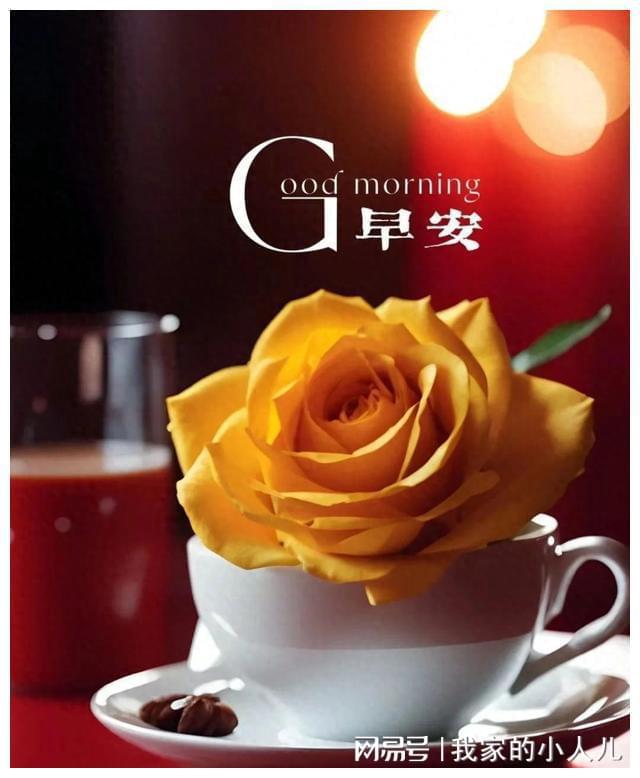 龙三叉戟的拼音_龙三叉戟为什么不能叠放天庭号_三叉龙