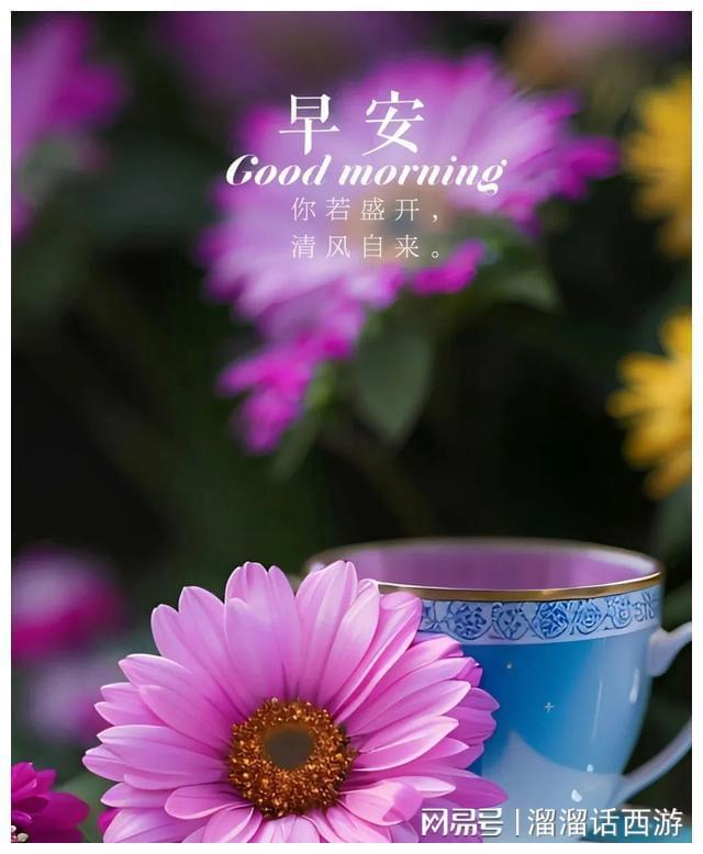 阳光斑驳午后，龙司的平凡与不凡，温暖守护身边人