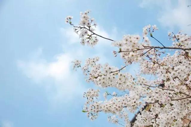 2025年是不是闰月年_2012年3月9日_哈尼十月年