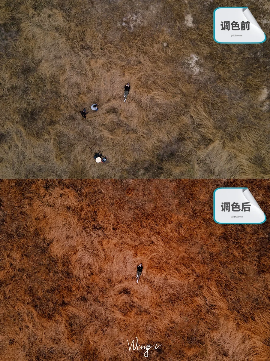 色阶手机游戏排行榜_色阶手机游戏推荐_手机色阶游戏
