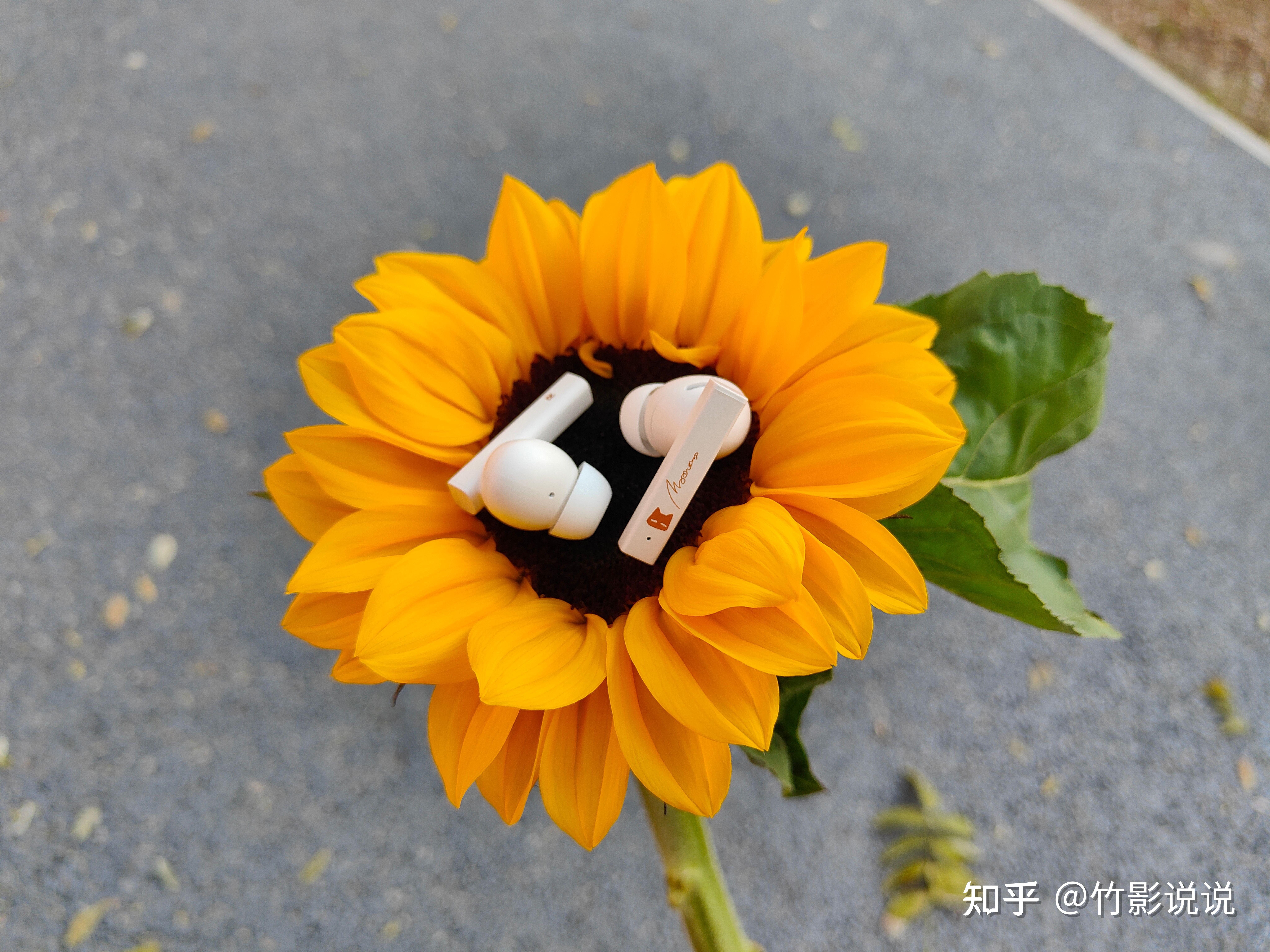 长虹手机游戏耳机_长虹手机以前的游戏_长虹电视连接游戏机