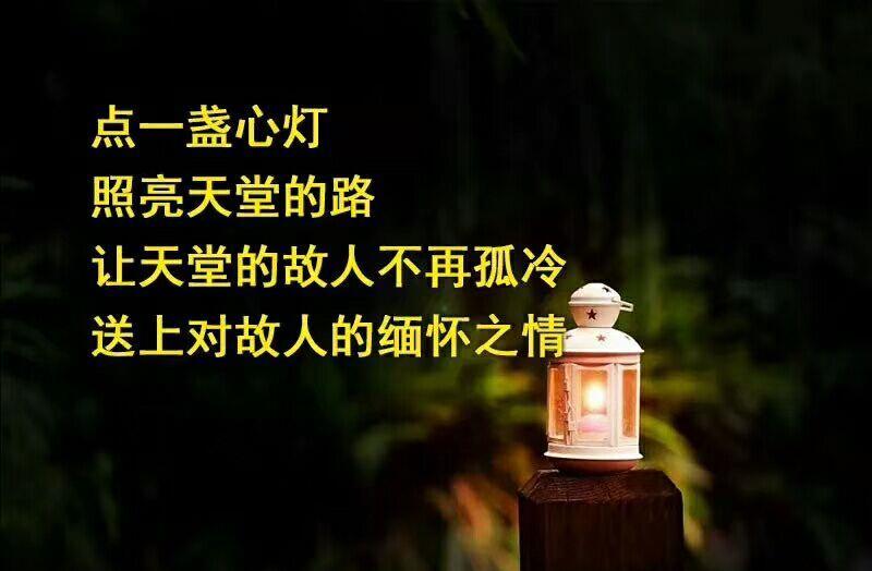 寒烟柔：冬日里的诗意哀愁与温暖寄托