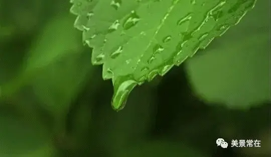 关掉动态手机游戏怎么关闭_关掉动态手机游戏会怎么样_手机怎么关掉游戏动态