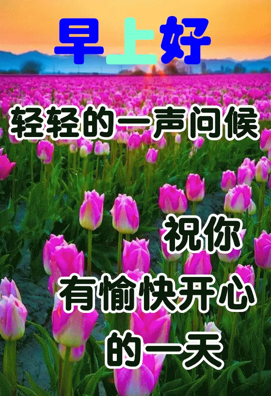 电视剧全集在线观看免费播放_心想事成电视剧免费观看全集剧情_电视剧全集完整版视频