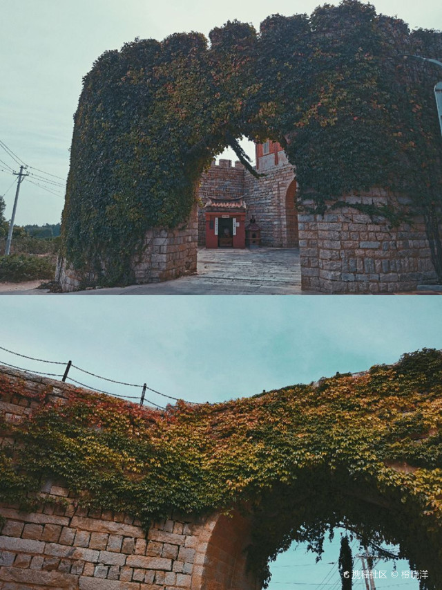 野崎_野崎_野崎