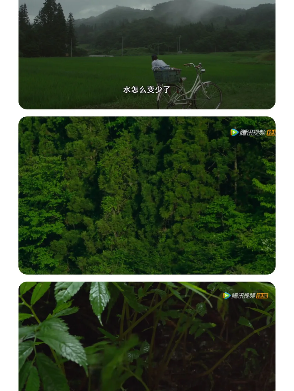 手机游戏电影意大利_意大利游戏_意大利游戏平台最新网站