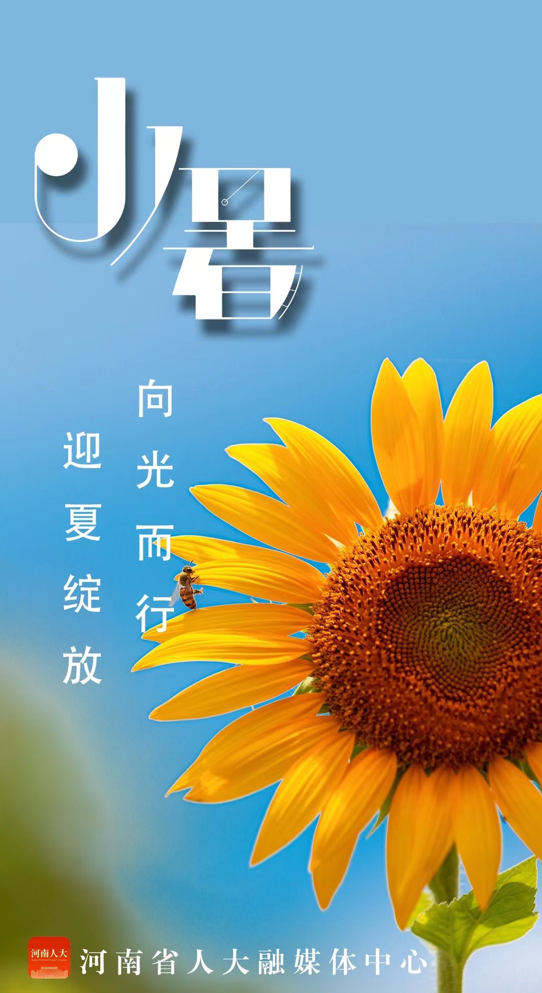 诗歌小暑来竹_小暑的儿歌或诗歌_小暑诗歌