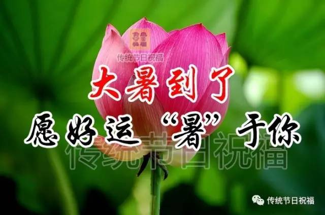 大暑气节有什么特点_大暑节气的特点和风俗_大暑节气的气候特征