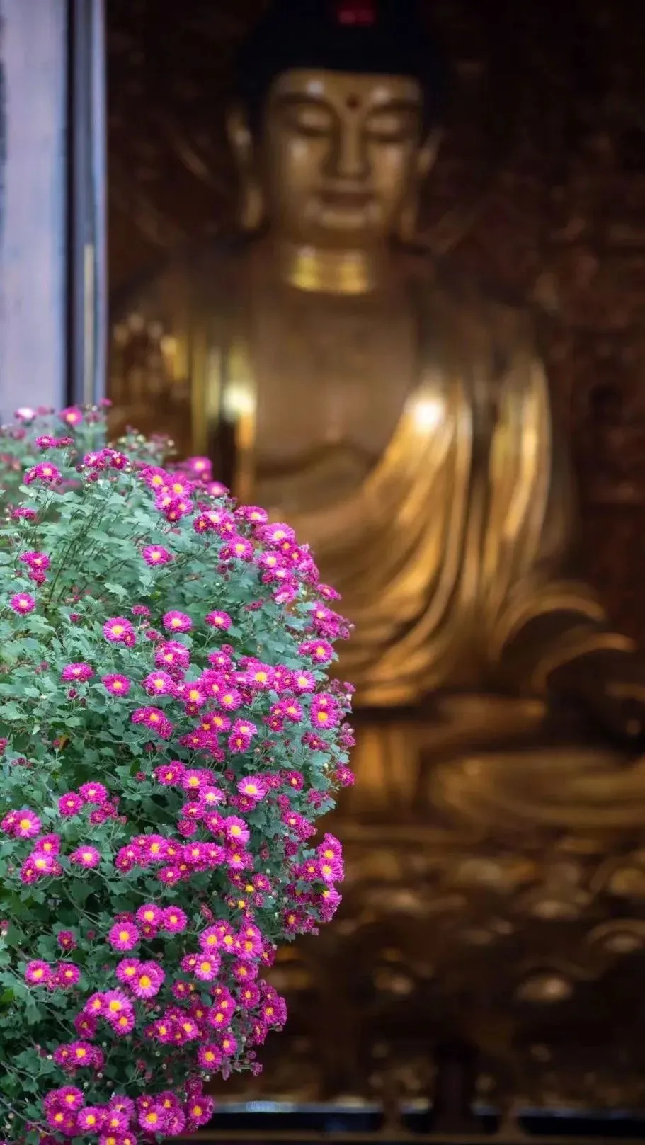 长途旅行_长光_长城皮卡