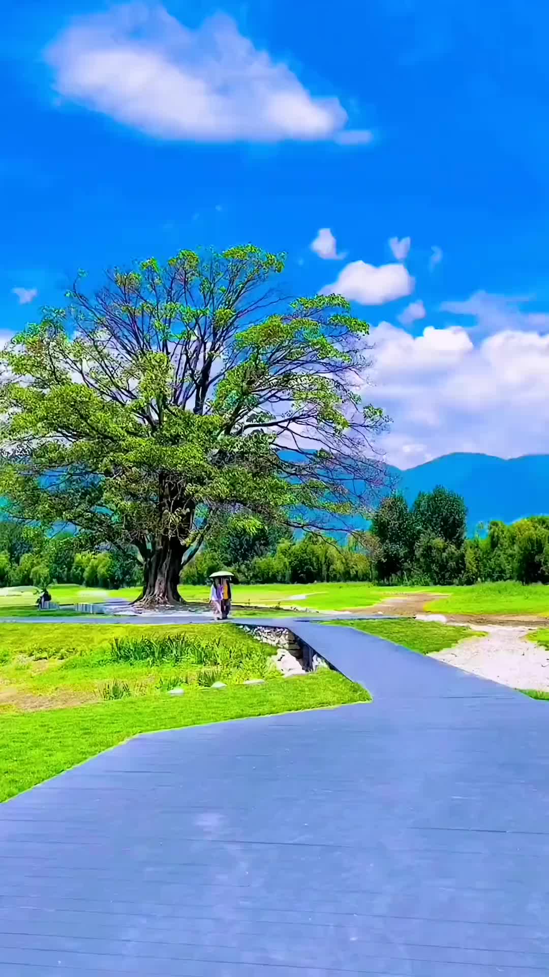 时空小涵神奇宝贝_时空小涵为什么不更新了_时空小涵