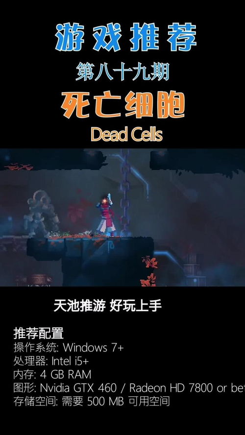 收集癖的游戏,满足你无尽收集欲望的电子世界