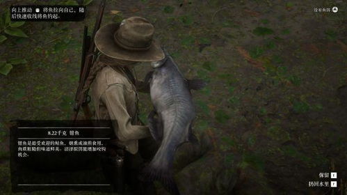 荒野钓鱼游戏,垂钓者的钓鱼世界