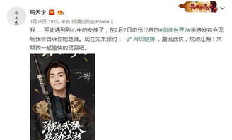 马天宇代言的游戏,探索轩辕剑与幻城世界的奥秘