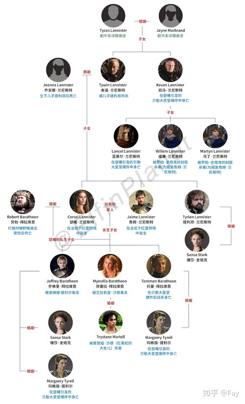 不一样的人生清软完结版 