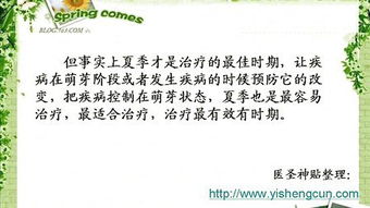 后院我最喜欢的假期 
